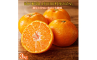 【先行予約】高級ブランド 秀品 紀州有田田村産みかん 3kg ※2025年12月頃〜2026年1月下旬頃に順次発送予定 / みかん ミカン 蜜柑 温州みかん 柑橘 フルーツ 果物 【uot848】