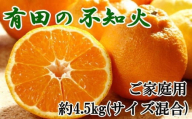 【先行予約】【濃厚】有田の不知火約4.5kgご家庭用向け（サイズ混合）※2026年2月中旬～2026年3月下旬頃発送予定 / みかん 有田みかん 柑橘 不知火 和歌山 ミカン オレンジ【tec989】