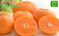 [秀品]和歌山有田みかん約5kg（S～Lサイズ混合）※2025年11月中旬～2026年1月中旬頃に順次発送【tecj1025】