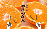 和歌山由良みかん　秀品　約５kg　サイズおまかせ(Ｌ・М・Ｓ)※2025年11月下旬～2026年1月中旬頃 順次発送予定【sml137】