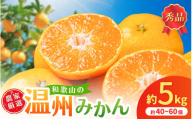 和歌山県産温州みかん　秀品　約5kg（約40個～60個入）【先行予約】【2025年11月初旬頃から2026年1月中旬頃順次発送予定】 | みかん フルーツ 果物 柑橘 和歌山【kgr032】