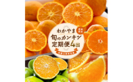 【全4回】和歌山旬のカンキツ定期便【L】3・5・9・11月発送（ご家庭用）※北海道・沖縄県・離島への配送不可 / 春の柑橘 初夏の柑橘 青切り 有田みかん 完熟有田みかん フルーツ くだもの 果物【ard-tkb907】