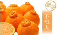 ＜2月より発送＞【先行予約】厳選不知火10kg+250g（傷み補償分）【デコポンと同品種・人気の春みかん】【ikd231】