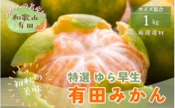 【初秋の美味】【10月～発送】特選ゆら早生有田みかん　1kg　【ard234】