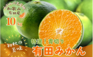 【先行予約】【2025年9月中旬～10月中旬頃発送予定】【初秋の美味】【農家直送】特選!青切り有田みかん10kg　【ard233】