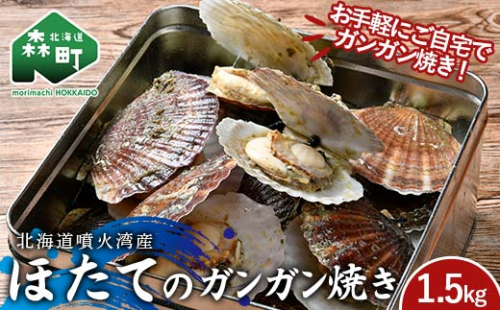 北海道噴火湾産 ほたて(二年貝)のガンガン焼き1.5kg 海産物 加工品 ほたて 帆立 ホタテ 魚介類 海鮮 森町 ふるさと納税 mr1-0980 2209398 - 北海道森町