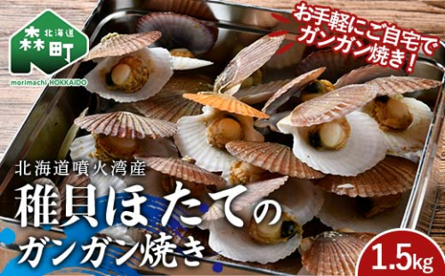 北海道噴火湾産 稚貝ほたてのガンガン焼き 1.5kg 海産物 加工品 ほたて 帆立 ホタテ 魚介類 海鮮 森町 ふるさと納税 mr1-0981 2209399 - 北海道森町