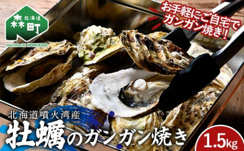北海道噴火湾産 牡蠣のガンガン焼き 1.5kg 海産物 加工品 ほたて 帆立 ホタテ 魚介類 海鮮 森町 ふるさと納税 mr1-0982 2209403 - 北海道森町