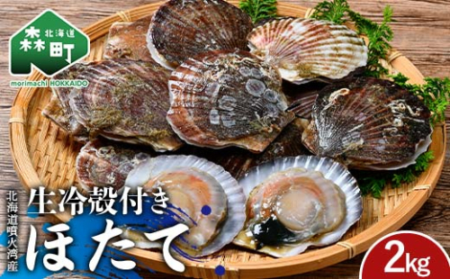 北海道噴火湾産 殻付きほたて(二年貝) 2kg 海産物 加工品 ほたて 帆立 ホタテ 魚介類 海鮮 森町 ふるさと納税 mr1-0983 2209404 - 北海道森町