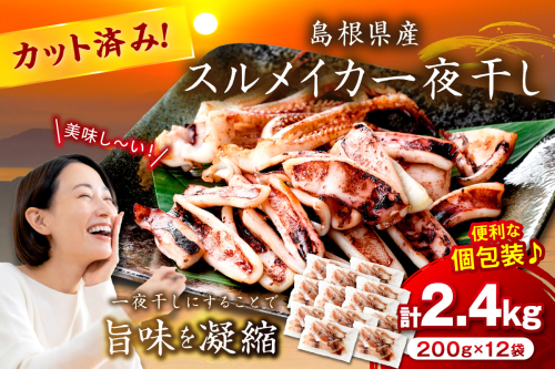 島根県産スルメイカ一夜干しカット済計2.4kg（小分け200g×12袋）産地直送 干物 一夜干し イカ 人気 大容量 小分け 国産 冷凍ストック 【005_2062】 2209405 - 島根県浜田市