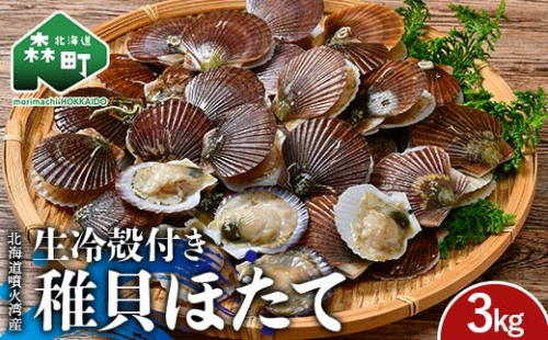 北海道噴火湾産 殻付き稚貝ほたて 3kg（段ボールまたは発泡入り） 海産物 加工品 ほたて 帆立 ホタテ 魚介類 海鮮 森町 ふるさと納税 mr1-0984
 2209451 - 北海道森町