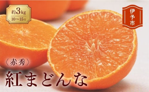みかん 愛媛 紅まどんな 約3kg  L～3L（赤秀）【2025年12月から順次発送予定】 人気 数量限定 先行予約 柑橘 JA正規品 化粧箱入り 国産 フルーツ 果物 ギフト用柑橘 フルーツギフト 贈答用 愛果28号 えひめ中央農協  伊予市【数量限定】 | C42 2209489 - 愛媛県伊予市