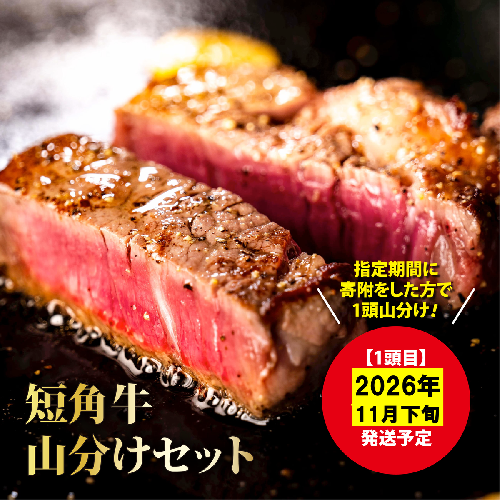 【山形村短角牛消費拡大応援企画品】山形村短角牛まるまる1頭山分けセット（11月発送分） 2209911 - 岩手県久慈市
