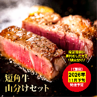 【山形村短角牛消費拡大応援企画品】山形村短角牛まるまる1頭山分けセット（11月発送分）