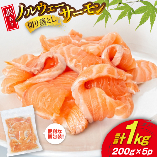 訳あり 無添加 ノルウェー産 アトランティックサーモン 切り落とし おさしみ用 1kg 200g ×5p [足利本店 宮城県 気仙沼市 20565179] サーモン さけ サケ 魚介類 鮭 尾っぽ はしっこ お刺し身 刺し身 刺身 個包装 海鮮 魚介 魚 小分け 冷凍 真空包装 ノルウェー 2209961 - 宮城県気仙沼市