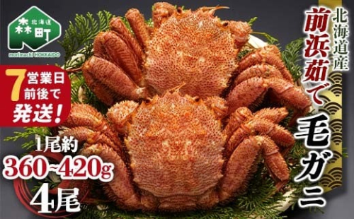 【7営業日前後で発送】北海道 毛ガニ 前浜茹で毛がに 約360g～420g 4尾 かに カニ 蟹 ガニ がに 森町 毛蟹 毛かに 毛がに 毛カニ 毛ガニ mr1-1035 2210169 - 北海道森町