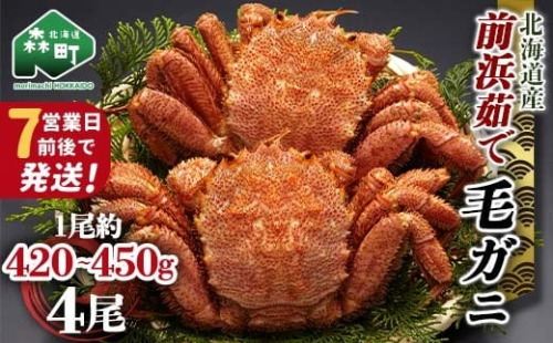 【7営業日前後で発送】北海道 毛ガニ 前浜茹で毛がに 約420g～450g 4尾 かに カニ 蟹 ガニ がに 森町 毛蟹 毛かに 毛がに 毛カニ 毛ガニ mr1-1040 2210173 - 北海道森町