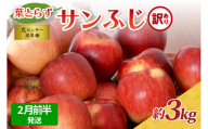 【2026年2月前半発送】【訳あり】青森県産葉とらずサンふじりんご約3kg