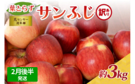 【2026年2月後半発送】【訳あり】青森県産葉とらずサンふじりんご約3kg