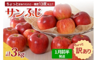 【先行受付】【2026年1月前半発送】 【訳あり】 りんご 約3kg サンふじ 青森産