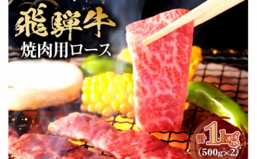 飛騨牛　焼肉用ロース1kg（500ｇ×2） 221072 - 岐阜県可児市