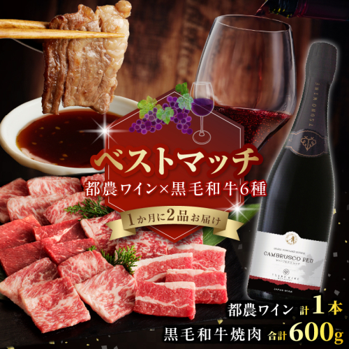【期間・数量限定】＼ベストマッチ!!／都農ワイン&黒毛和牛(経産牛(訳あり))6種焼肉 肉 牛肉 酒 ワイン 国産_T999-024 2210750 - 宮崎県都農町