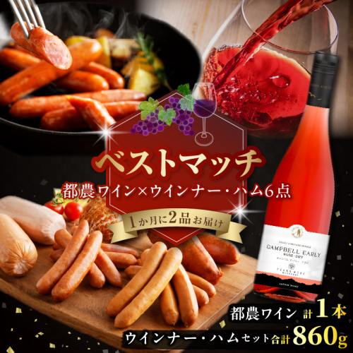 【期間・数量限定】＼ベストマッチ!!／都農ワイン&ウインナー・ハム6点セット 肉 豚肉 酒 ワイン 国産_T999-025 2210751 - 宮崎県都農町