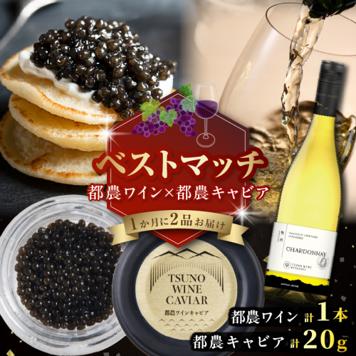 【期間・数量限定】＼ベストマッチ!!／都農ワイン&都農キャビア 魚 魚介 酒 ワイン 国産_T999-026 2210752 - 宮崎県都農町