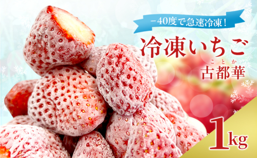 -40度で急速冷凍! 冷凍いちご 1kg ( 古都華 ) 2210754 - 奈良県大和郡山市