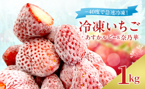 -40度で急速冷凍! 冷凍いちご 1kg ( あすかルビー & 奈乃華 ) 2210755 - 奈良県大和郡山市