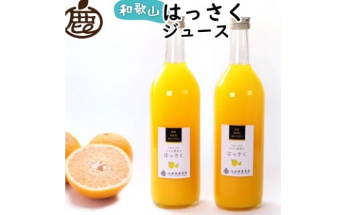 無添加はっさくジュース 約720ml×2本［IKE262］ 2210756 - 和歌山県上富田町