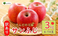 【先行予約】 【訳あり】サンふじ 約3kg (6〜14玉）（2025年12月中旬から発送）りんご サンふじ 訳あり 規格外 直送 好評 (7-A39-1)