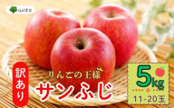 【先行予約】 【訳あり】サンふじ 約5kg(11〜20玉）（2025年12月中旬から発送）りんご サンふじ 訳あり 規格外 直送 好評 (7-A39-2)