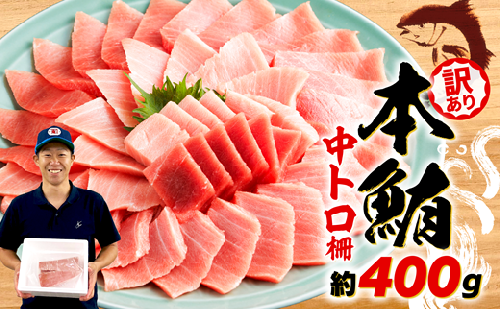 【2026年9月発送】 訳あり 本マグロ 中とろ 刺身用 約400g 不定型柵 マグロ トロ 鮪 海鮮 晩酌 冷凍 刺し身 まぐろ さしみ 柵 皮付き 海鮮丼 人気 小分け 中トロ お刺身 マグロ 漬け ネギトロ 赤身 冷凍 生食用 静岡 藤枝 コスパ 人気 まぐろ おいしい まぐろ 鮪
