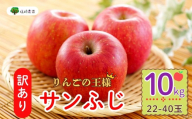 【先行予約】 【訳あり】サンふじ 約10kg(22〜40玉）（2025年12月中旬から発送）りんご サンふじ 訳あり 規格外 直送 好評 (7-A39-3)
