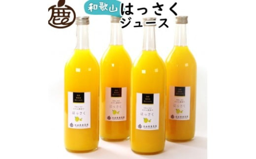 無添加はっさくジュース 約720ml×4本［IKE264］ 2211212 - 和歌山県那智勝浦町