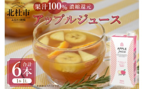 三井農林 WN(ホワイトノーブル紅茶) アップルジュース 1L×6本 アップルジュース 濃縮還元 100％ ホワイトノーブル 1L 1000ml 6本 紙パック ストレート アレンジティー 透明タイプ リンゴ 飲料 日東紅茶 業務用 優雅 贅沢 ティータイム 山梨県 北杜市 2211281 - 山梨県北杜市