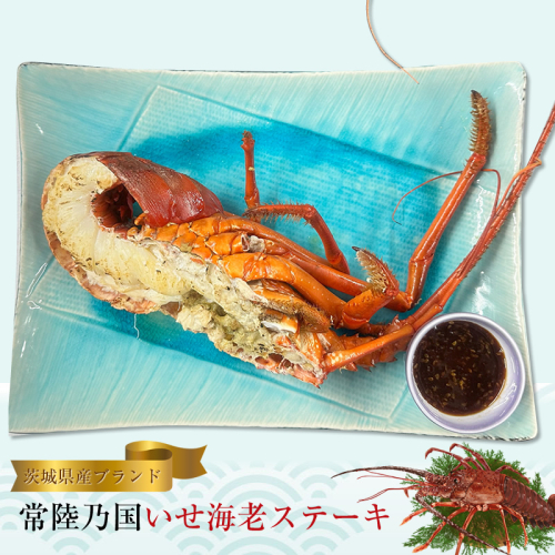 【茨城県産ブランド】常陸乃国いせ海老ステーキ【 伊勢海老 茨城県 日立市 】 2211299 - 茨城県日立市