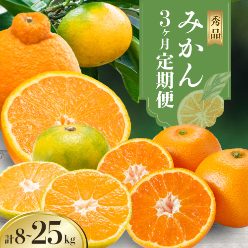 秀品 みかん 3ヶ月定期便 選べる内容量 日本フルーツ株式会社《2025年10月上旬-12月末頃出荷》熊本県 長洲町 早生みかん 温州みかん 不知火 果物 フルーツ スイーツ デザート ギフト ご贈答 2211300 - 熊本県長洲町