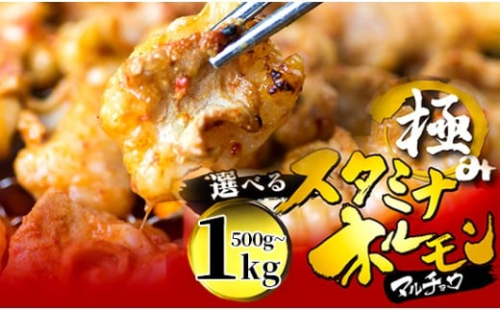 【タレ揉み】 極みの スタミナ ホルモン マルチョウ 500g/1kg  小分け タレ付き | ほるもん 牛肉 牛ホルモン モツ 丸腸 まるちょう 焼き肉 BBQ 味付け肉 キャンプ アウトドア 京都 舞鶴 2211650 - 京都府舞鶴市