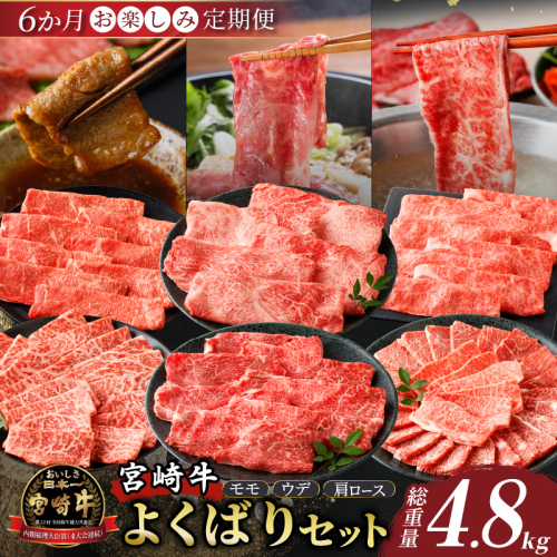 6か月お楽しみ定期便『宮崎牛よくばりセット』総重量4.8kg 肉 牛 牛肉 おかず 国産_T030-184 2211658 - 宮崎県都農町