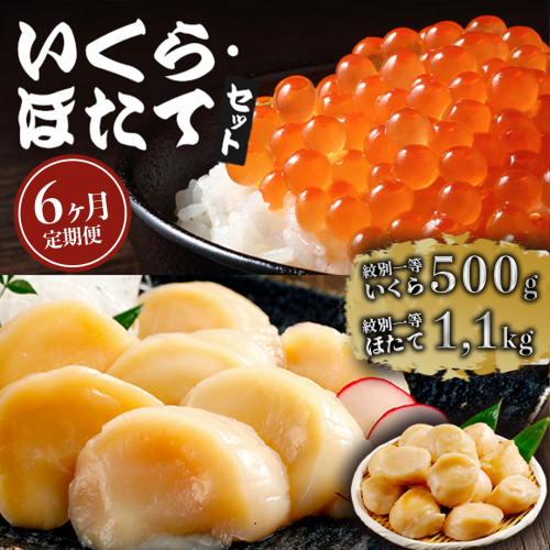 282-1 【定期便６か月】いくら醤油漬け500gほたて1.1kgセット×６回 2211831 - 北海道紋別市
