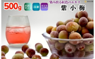 【2025年7月上旬～出荷予定】冷凍 紫小梅 500g 秀優混合 サイズミックス 紅紫色 梅 和歌山県産 紀州有田 クール便 【みかんの会】