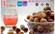 【2025年7月上旬～出荷予定】冷凍 紫小梅 1kg ( 500g ×2袋) 秀優混合 サイズミックス 紅紫色 梅 和歌山県産 紀州有田 クール便 【みかんの会】