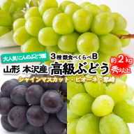 大人気![こんのぶどう園]山形本沢産 高級ぶどう 3種食べくらべB 秀以上 約2kg [令和7年産先行予約]FU22-338 フルーツ くだもの 果物 山形 山形県 山形市 ぶどう 葡萄 ブドウ セット 2025年産