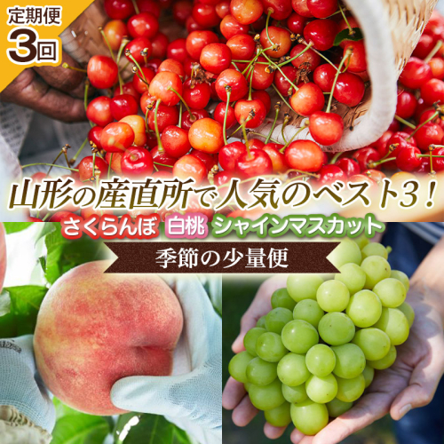 【定期便3回】山形の産直所で人気のベスト3！さくらんぼ・白桃・シャインマスカット【季節の少量便】 FZ25-948 くだもの 果物 フルーツ 山形 山形県 山形市 2211861 - 山形県山形市