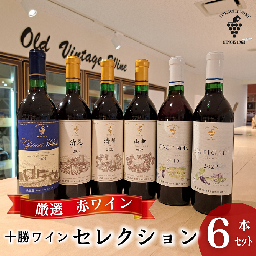 【厳選赤ワイン】十勝ワイン6本セレクション 北海道池田町 赤ワイン 本格派  十勝ワイン ビンテージ 赤ワインセット 2211936 - 北海道池田町