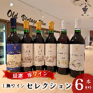 【厳選赤ワイン】十勝ワイン6本セレクション 北海道池田町 赤ワイン 本格派  十勝ワイン ビンテージ 赤ワインセット