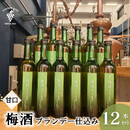 梅酒 ブランデー仕込み 500ml×12本 梅酒 ブランデー 甘口 原酒 熟成 フレンチオーク樽 2212104 - 北海道池田町