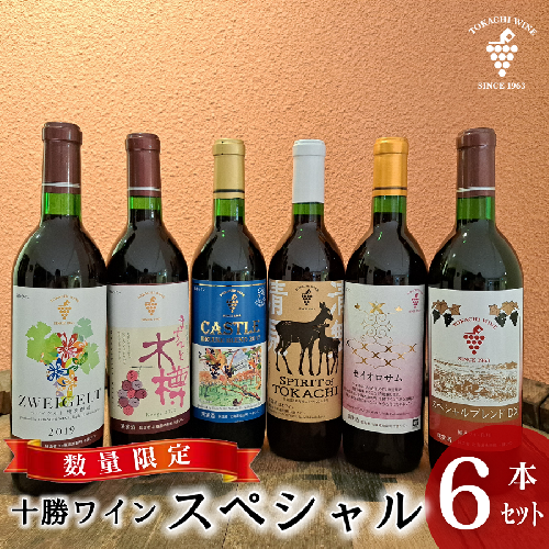 【数量限定】十勝ワインスペシャル6本 特別醸造 限定ラベル 赤ワイン 北海道池田町  2212121 - 北海道池田町